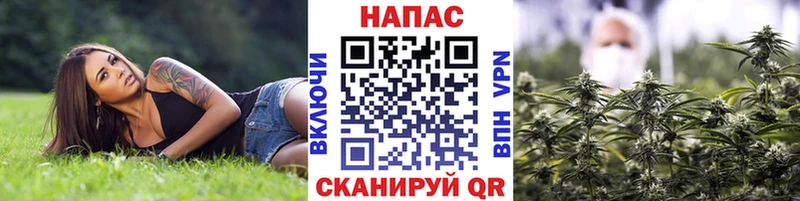 Названия наркотиков Талдом Cocaine APVP БУТИРАТ ГАШИШ Каннабис Амфетамин