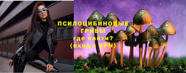 стафф Абдулино